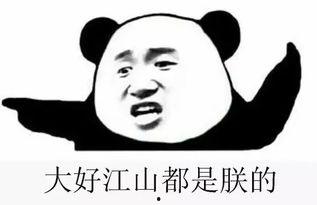 娱乐群吃瓜群众,吃瓜群众的热议焦点