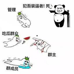 娱乐群吃瓜群众,吃瓜群众的热议焦点